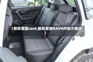 【新款荣放rav4,新款荣放RAV4内饰大图片】