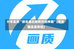 分享实测“微乐湖北麻将开挂神器”(原来确实是有挂)