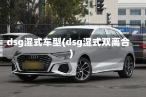 dsg湿式车型(dsg湿式双离合)