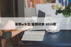 夏朗w车型/夏朗评测 2020款