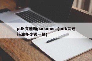 pdk变速箱panamera(pdk变速箱油多少钱一桶)