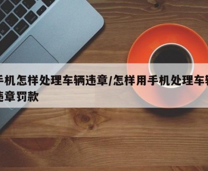 手机怎样处理车辆违章/怎样用手机处理车辆违章罚款
