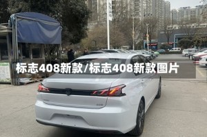 标志408新款/标志408新款图片
