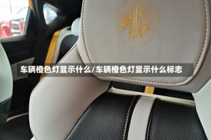 车辆橙色灯显示什么/车辆橙色灯显示什么标志