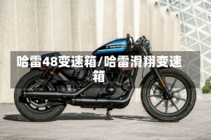 哈雷48变速箱/哈雷滑翔变速箱