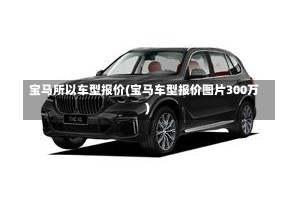 宝马所以车型报价(宝马车型报价图片300万)
