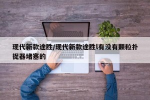 现代新款途胜/现代新款途胜l有没有颗粒扑捉器堵塞的
