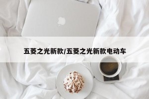 五菱之光新款/五菱之光新款电动车