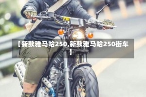 【新款雅马哈250,新款雅马哈250街车】