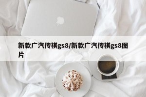 新款广汽传祺gs8/新款广汽传祺gs8图片