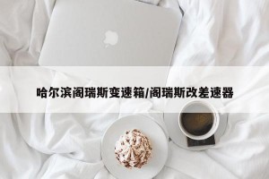 哈尔滨阁瑞斯变速箱/阁瑞斯改差速器