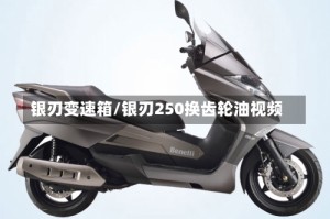 银刃变速箱/银刃250换齿轮油视频