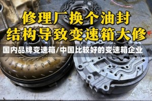 国内品牌变速箱/中国比较好的变速箱企业
