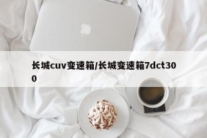长城cuv变速箱/长城变速箱7dct300