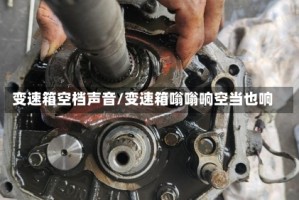 变速箱空档声音/变速箱嗡嗡响空当也响