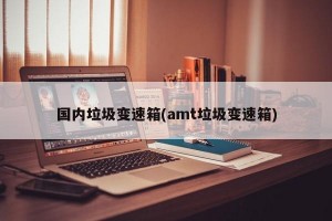 国内垃圾变速箱(amt垃圾变速箱)