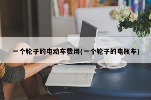 一个轮子的电动车费用(一个轮子的电瓶车)
