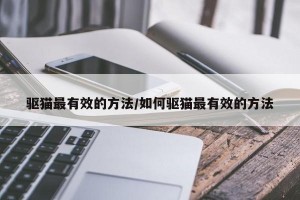 驱猫最有效的方法/如何驱猫最有效的方法