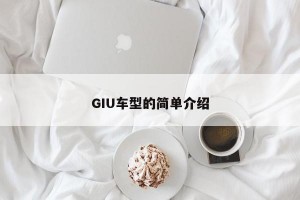 GIU车型的简单介绍