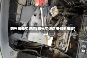 阳光抖动变速箱(阳光变速箱维修费用表)