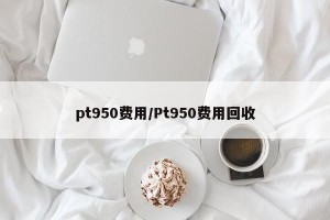pt950费用/Pt950费用回收