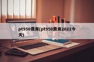 pt950费用(pt950费用2021今天)