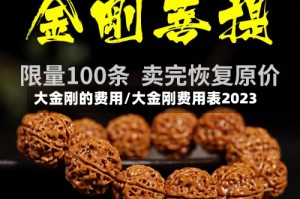 大金刚的费用/大金刚费用表2023